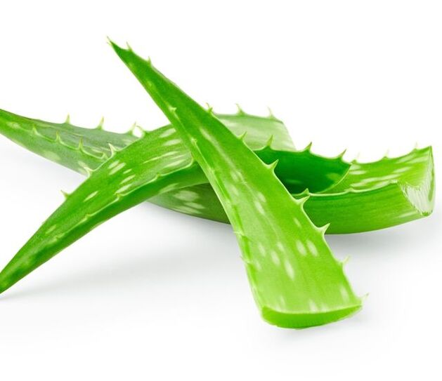 Aloe para el tratamiento de papilomas.
